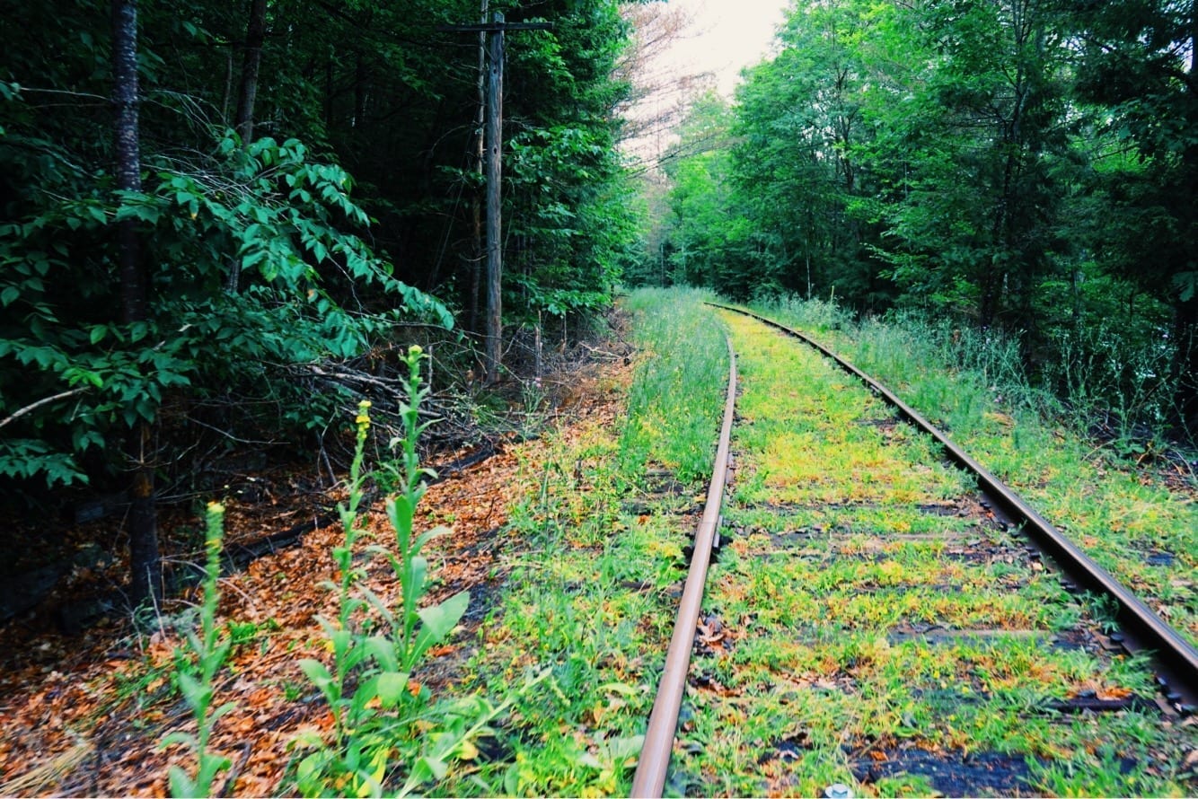 railbiking trail through the woods