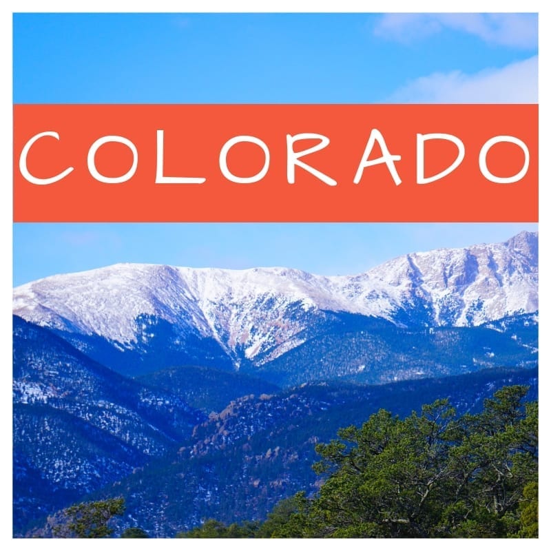 Navigate to CO Posts